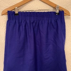 Great condition Jcrew stretch band skirt
